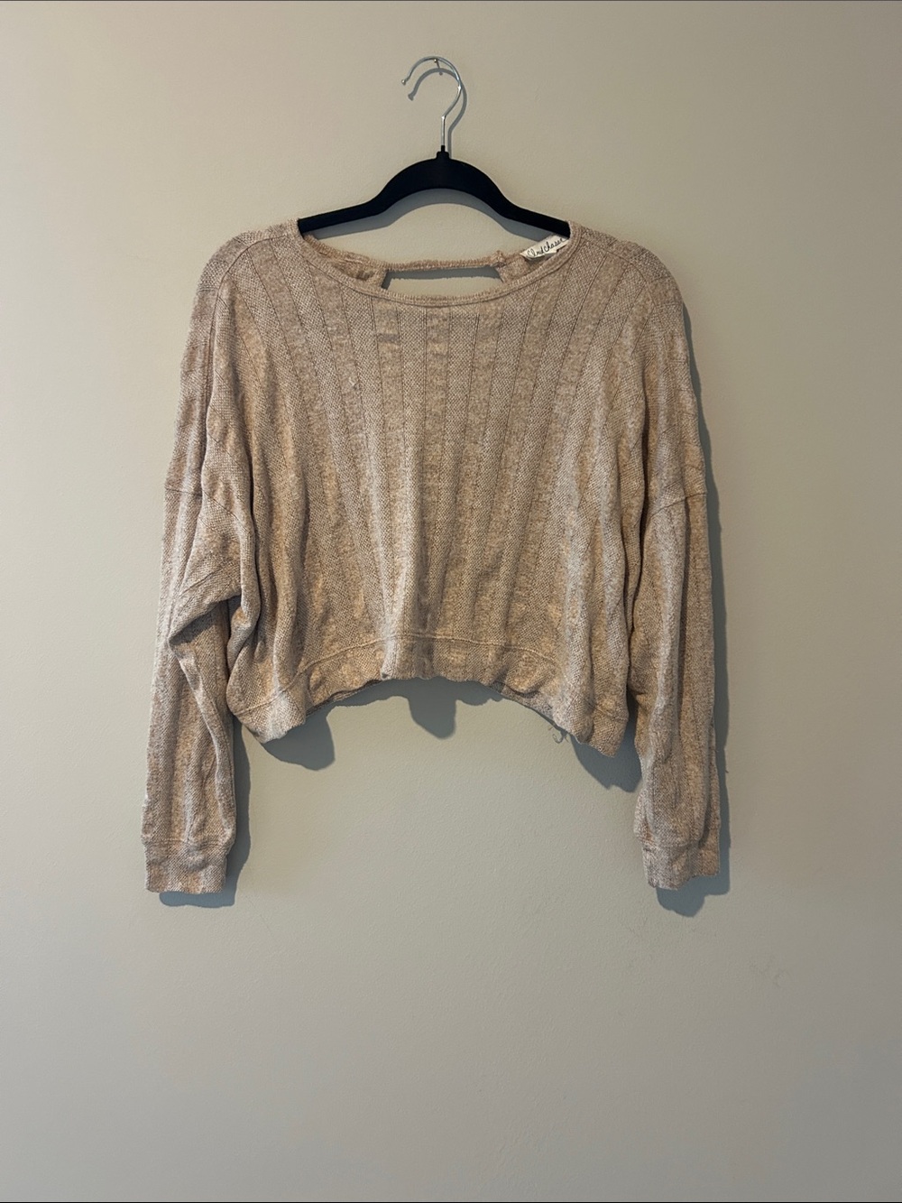 Cloud Chaser Cropped Neutral Heathered Knit Top in Light Beige